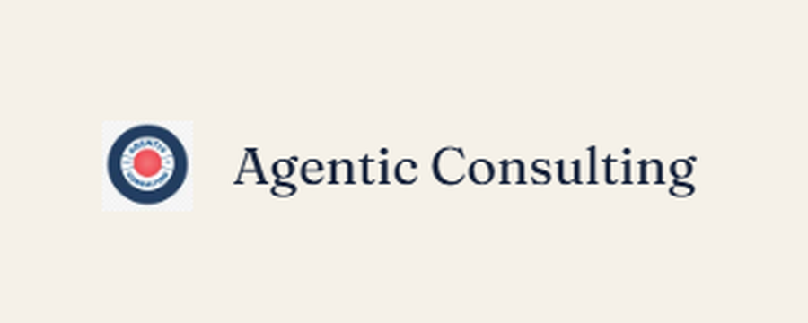 agentic consulting washington dc
