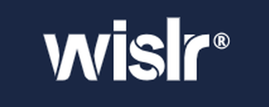 wislr ai consultants in Georgia
